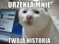Urzekła mnie twoja historia