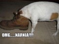 Narnia