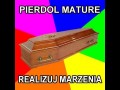 Pierdol maturę, realizuj marzenia