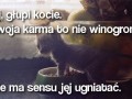 Głupi kocie