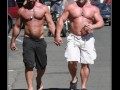 Call them fagots
