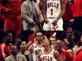 Bulls