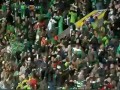 Kibice Celticu