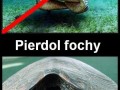 Uśmiechnij się...