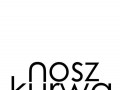 nosz k***a
