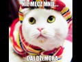 Nie męcz mnie...