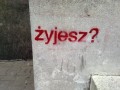 Żyjesz?