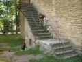 Prawdziwy Parkour