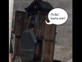 Podać kartę win?