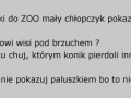 Wycieczka do ZOO