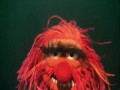 The Muppets Bohemian Rhapsody