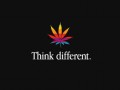 Think different