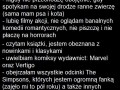 Dziewczyna