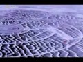 National Geographic - Żywa Broń - Broń biologiczna