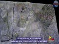 Anioły i kosmici Napisy PL