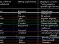 Dlaczego żyjesz?