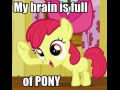 My brain is full