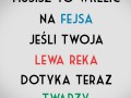Orły