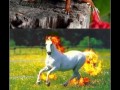 Pokemons