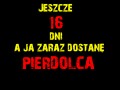 Wakacje