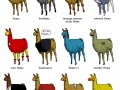 Lama
