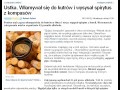 Włamywał się do kutrów