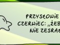 Przysłowie na czerwiec