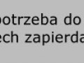 Ilu murzynów potrzeba do wycięcia lasu?