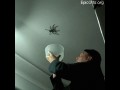 Łapanie pająka