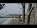 Jak pozdrowić policjanta?