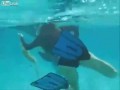 Laska i napalony delfin