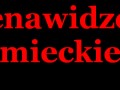 Nienawidzę niemieckiego