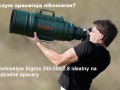 Krótki zoom na niedzielne spacery