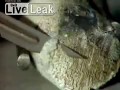 Reakcje metali