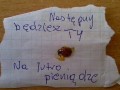 Następny będziesz ty