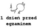 1 dzień przed egzaminem