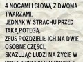 Wg Greckiej Mitologii