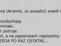 Posadzimy tytoń...