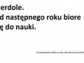 Od następnego roku...
