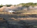 Białe nie potrafią skakać