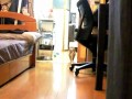 Stalking Cat
