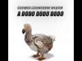 Dodo