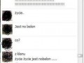 Nobelon