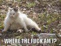 Where the fuck am i
