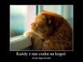 Każdy z nas czeka na kogoś