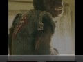 Drug Dealing Monkey