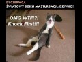 Światowy dzień masturbacji