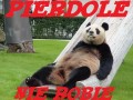 Nie robię