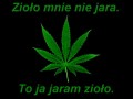 Zioło mnie nie jara