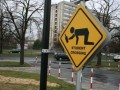 Student crossing